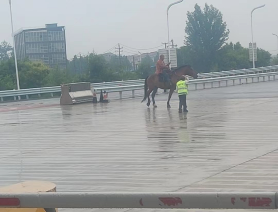 香港凤凰天机特网站