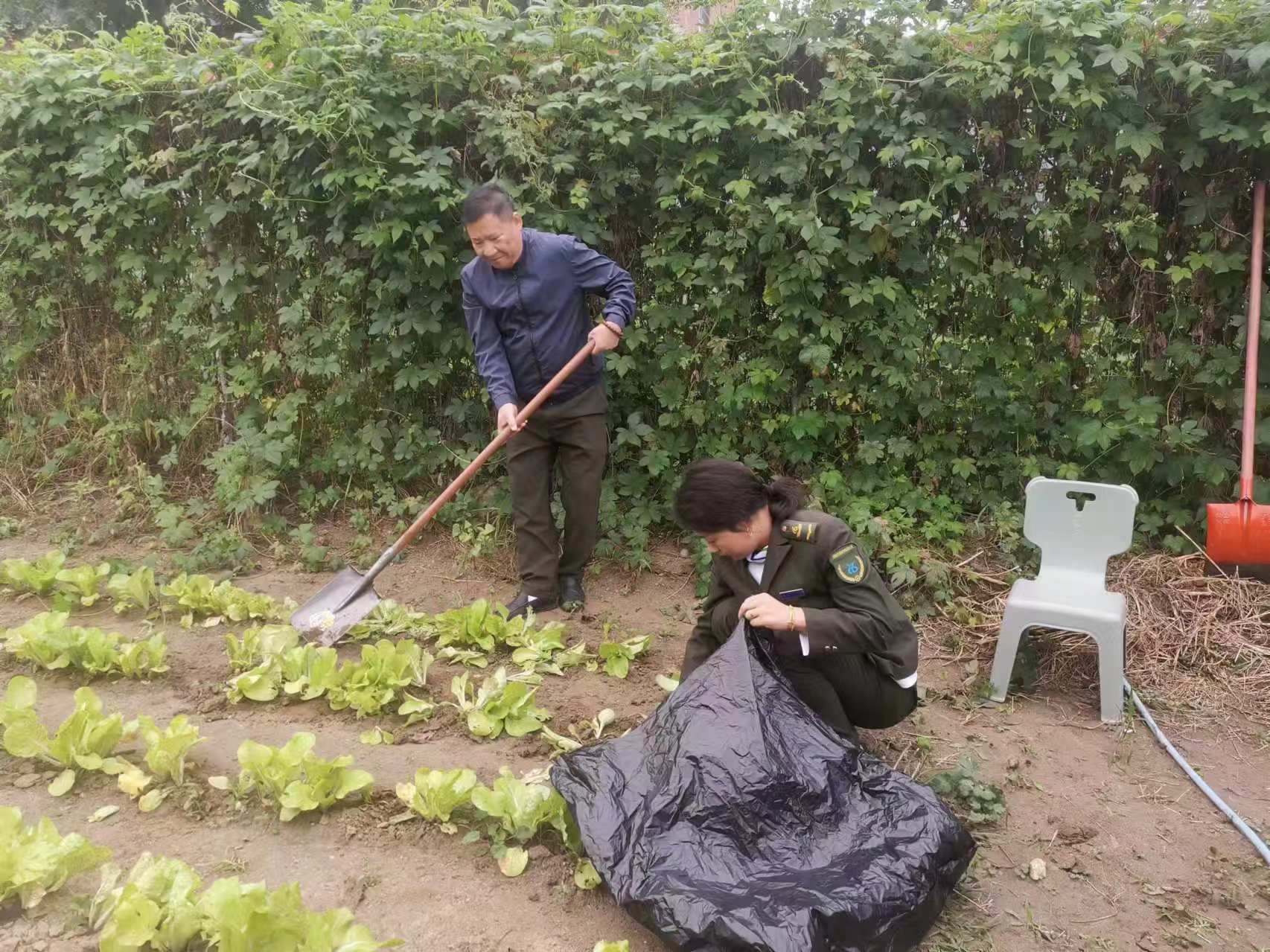 香港凤凰天机特网站